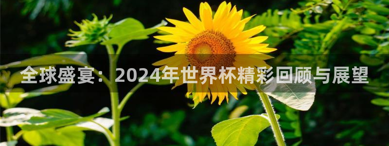 全球盛宴：2024年世界杯精彩回顾与展望