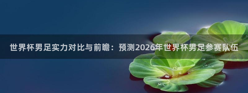 世界杯男足实力对比与前瞻：预测2026年世界杯男足参赛队伍