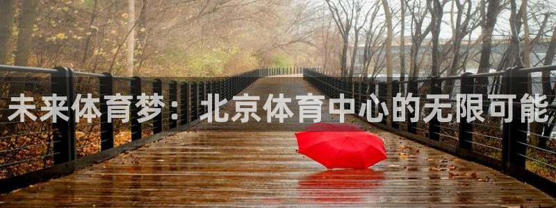 未来体育梦：北京体育中心的无限可能