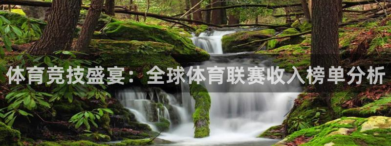 体育竞技盛宴：全球体育联赛收入榜单分析