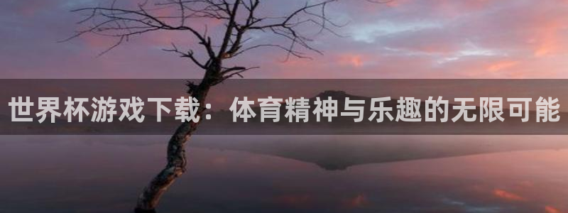 世界杯游戏下载：体育精神与乐趣的无限可能
