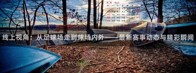 线上视角：从足球场走到球场内外——最新赛事动态与精彩瞬间