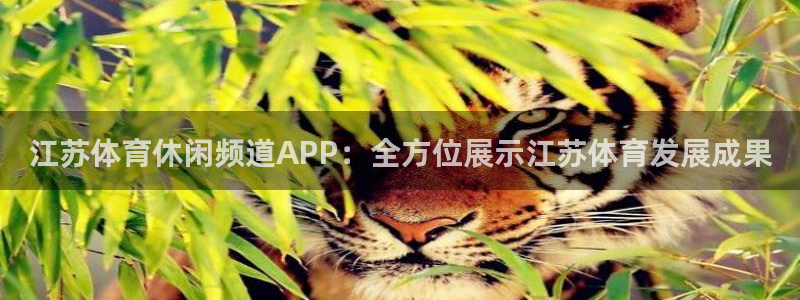 江苏体育休闲频道APP：全方位展示江苏体育发展成果