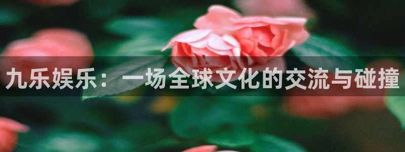 九乐娱乐：一场全球文化的交流与碰撞