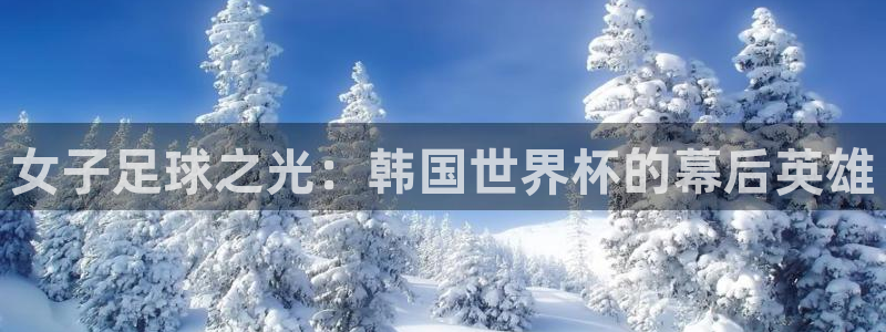 女子足球之光：韩国世界杯的幕后英雄