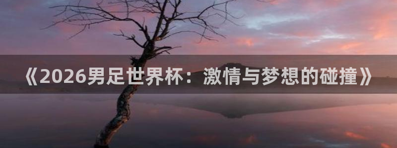 《2026男足世界杯：激情与梦想的碰撞》