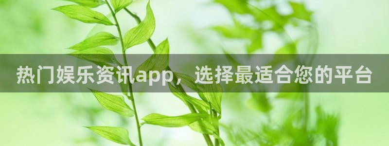 热门娱乐资讯app，选择最适合您的平台