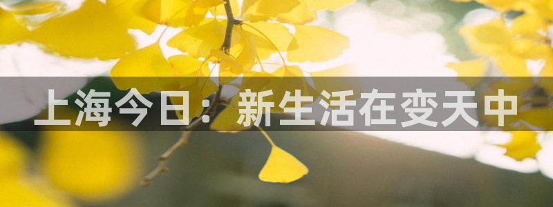 上海今日：新生活在变天中