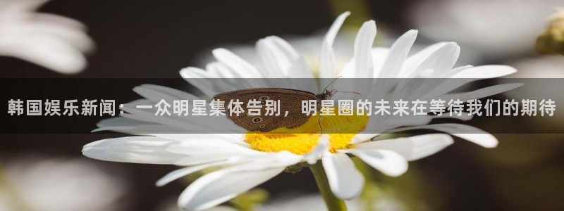 韩国娱乐新闻：一众明星集体告别，明星圈的未来在等待我们的期待