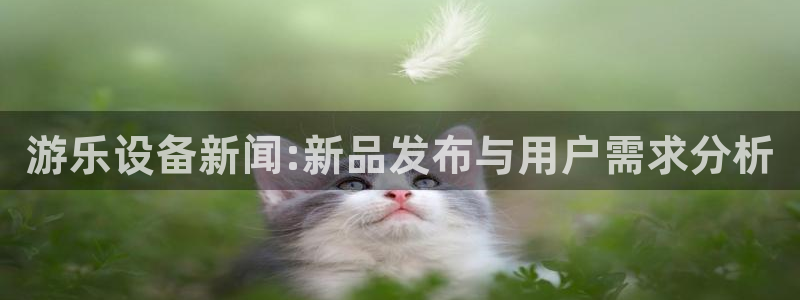 游乐设备新闻:新品发布与用户需求分析