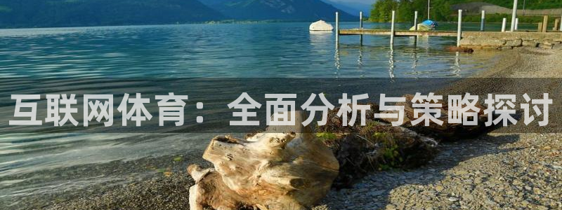 互联网体育：全面分析与策略探讨