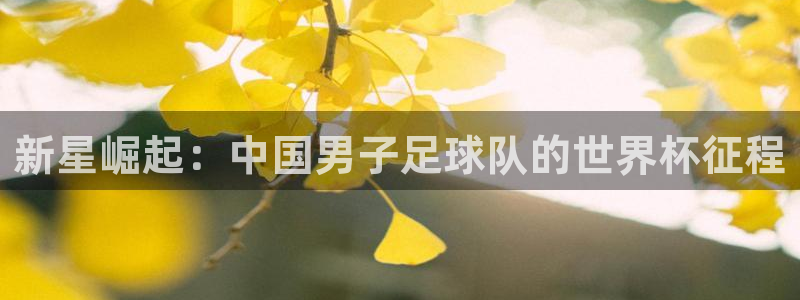 新星崛起：中国男子足球队的世界杯征程