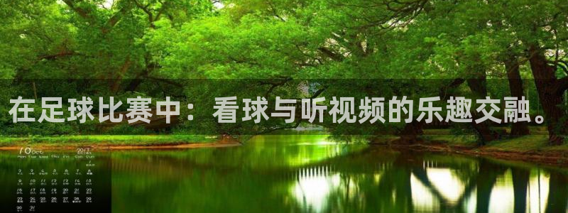 在足球比赛中:看球与听视频的乐趣交融。