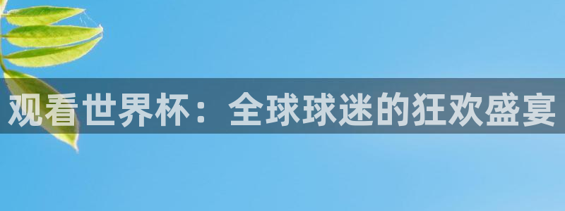 观看世界杯：全球球迷的狂欢盛宴