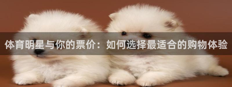 体育明星与你的票价：如何选择最适合的购物体验